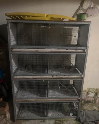 batteria per canarini da sistemare