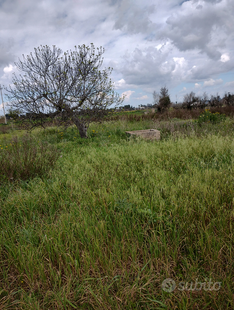 Terreno agricolo in zona PADULA CHIANCA - Vista 2