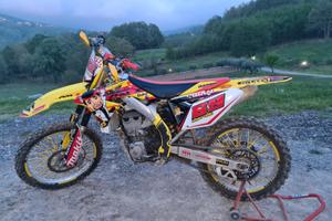 Suzuki rmz 450