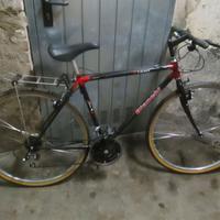 Bianchi Stone 21 rapporti