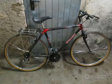 Bianchi Stone 21 rapporti