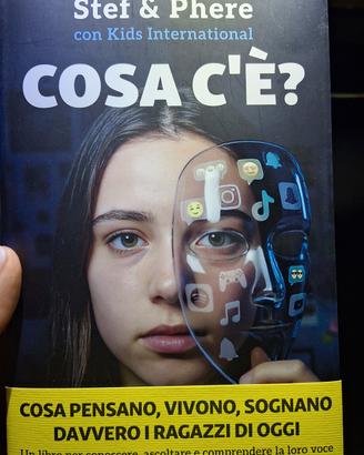 Stef&Phere, Cosa c'è? Cosa pensano, vivono, sognan