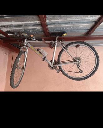 Bicicletta Nuzzi