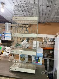 Gabbie con 4 scompartimenti