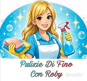 Donna Pulizie e/o Stiro