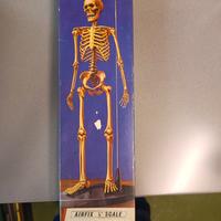 Modellino di scheletro marca Airfix