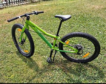 Mountain Bike Ragazzo Scott Roxter 24