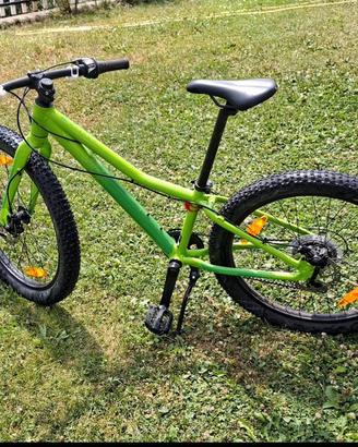 Mountain Bike Ragazzo Scott Roxter 24