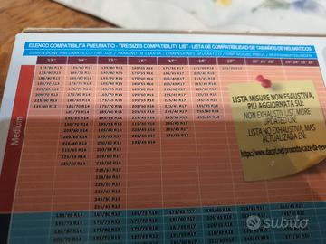 calze auto per la neve