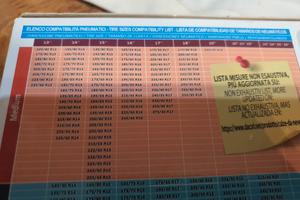 calze auto per la neve