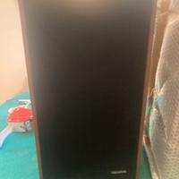 Casse Pioneer CS 313