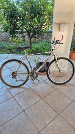 bici 26 24 14 mtb passeggio