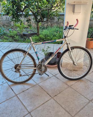 bici 26 24 14 mtb passeggio