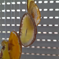 Campana Campanello del vento in Foglie di Agata