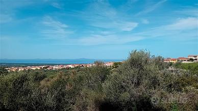 Terreno agricolo - sorso