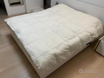 Piumone Bassetti matrimoniale