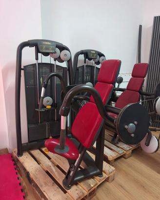 Arm Extension