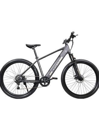 Bicicletta eletrica