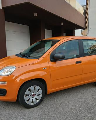 Fiat Panda 1.2 Pop unico prop a € 149 mese