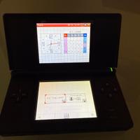 Nintendo DS Lite