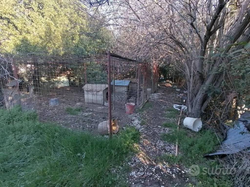 Immobile in asta di 514 m² a Grottazzolina - Vista 5
