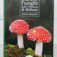 1260 Funghi della Provincia di Belluno