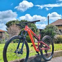 Canyon Neuron 5 2024 Salmone Tg. L