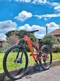 Canyon Neuron 5 2024 Salmone Tg. L