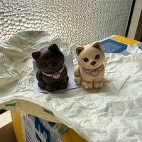 Coppia Gatti Thun Bauli