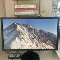 Eizo Flexscan EV2336W, 23" FullHD