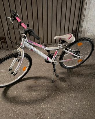 Bicicletta