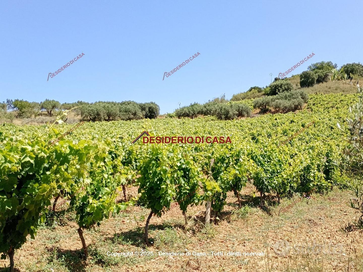 Terreno, Alcamo. - Vista 3