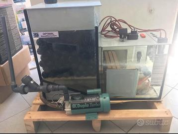 Filtro per acquario percolatore