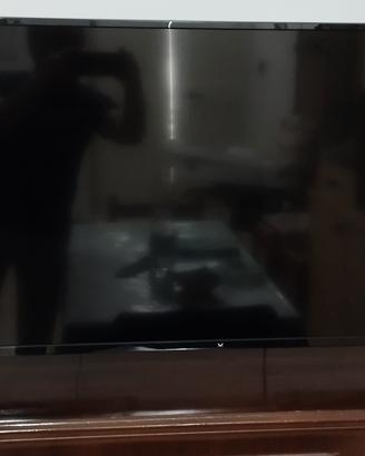 Televisore Majestic full HD 40"