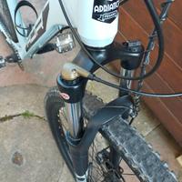 Bici tenuta bene, taglia L, ruote 29.