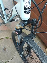 Bici tenuta bene, taglia L, ruote 29.