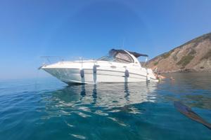 Sea Ray 315 Sundancer Natante