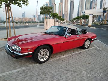 JAGUAR XJS-Cabrio-V12 IMMACOLATO originale