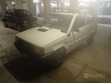 Fiat panda young