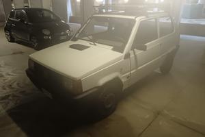 Fiat panda young