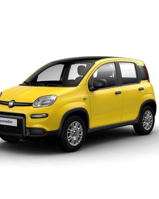 FIAT Pandina 1.0 65cv Hybrid Icon