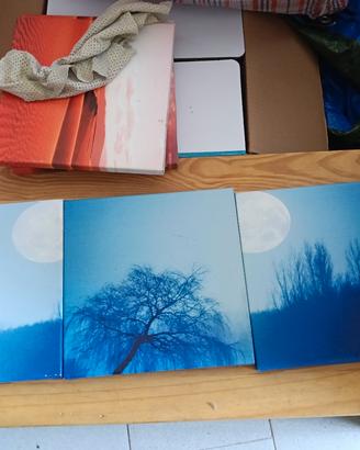 quafretti