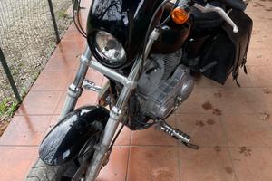 Harley davinson superlow 883