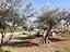 Immagine 14