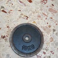 bilanciere da 10 kg in ghisa 