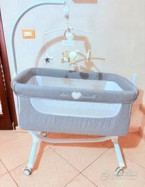 Colletta cullami CAM