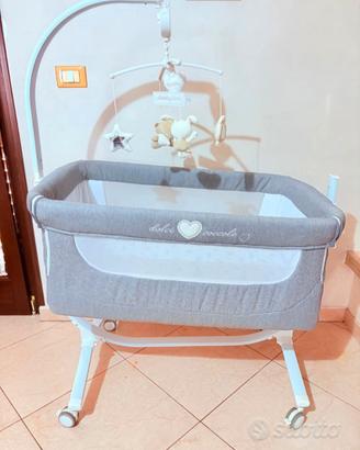 Colletta cullami CAM