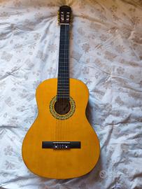 Chitarra Stelton - Mai usata!