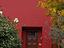 Immagine 2