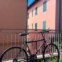 Mountain bike NEVADA